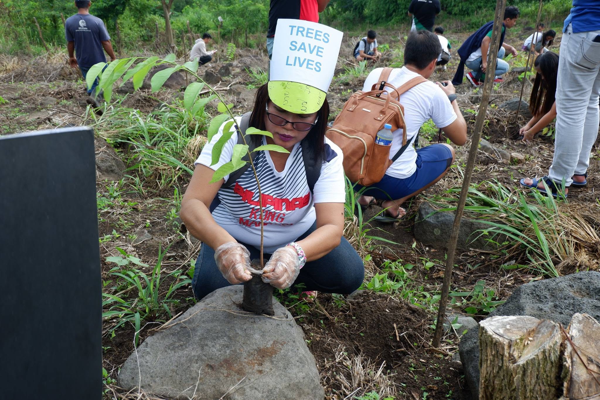 Planting for the Future - photo 4
