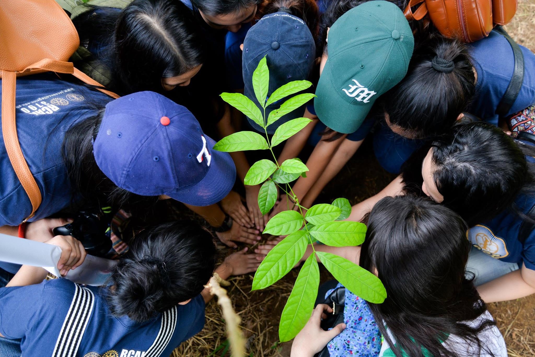 Planting for the Future - photo 1