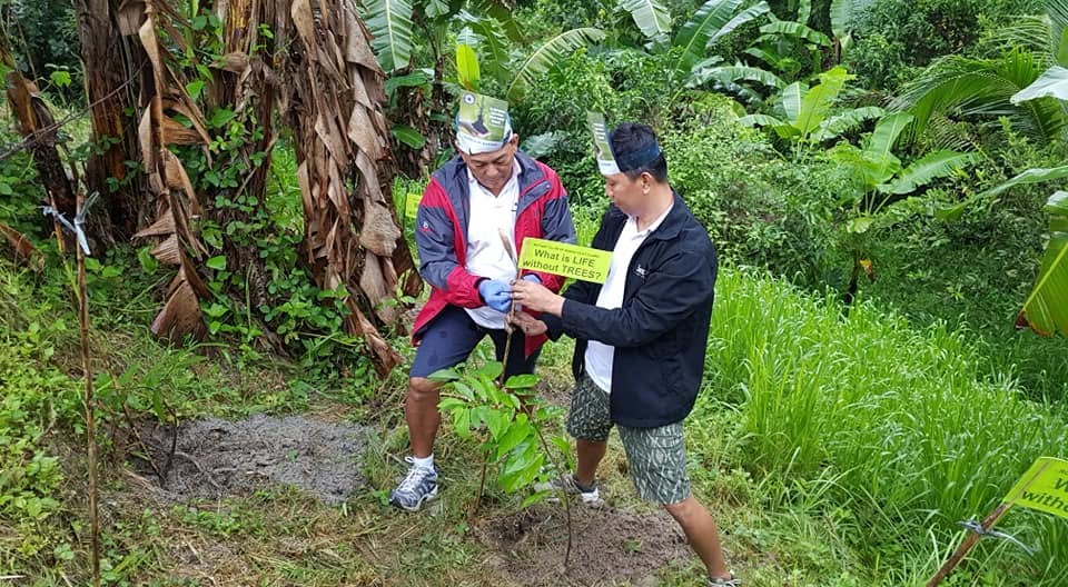 Planting for the Future - photo 3